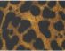 North Griptape Jaguar